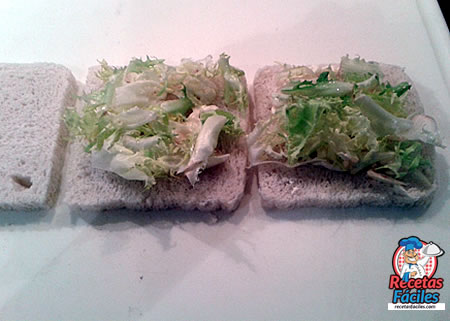 Recetas Fáciles de Sandwich Vegetal