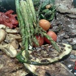 parrillada-verduras-5